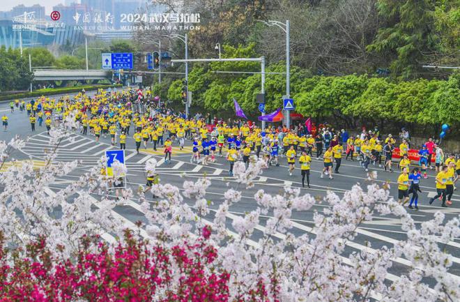 无锡、重庆、武汉马拉松全破Kaiyun 开云体育纪录！何杰再破国家纪录向奥运奔跑！名副其实跑者的节日！(图11)